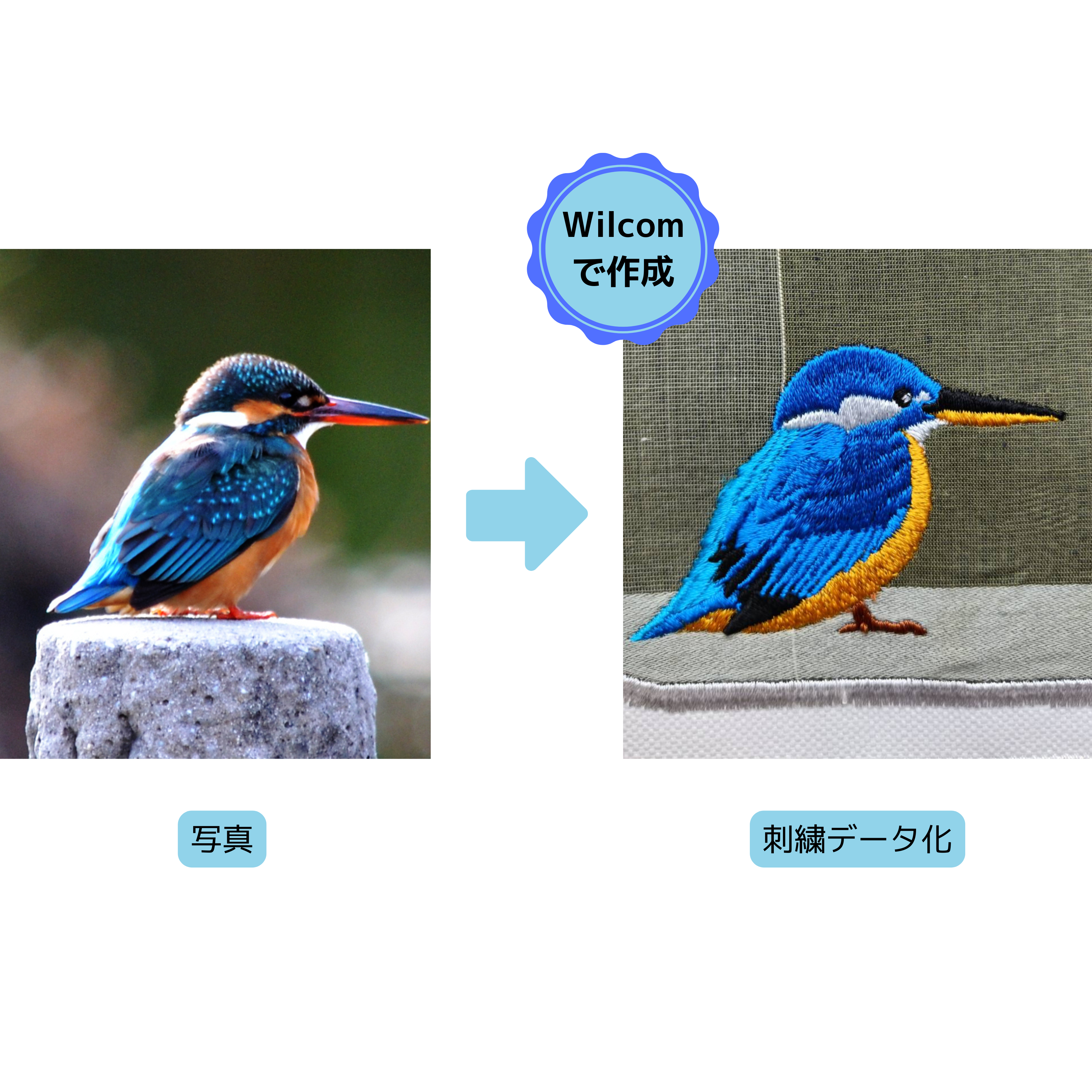 カワセミ写真からのリアル刺繍データ化